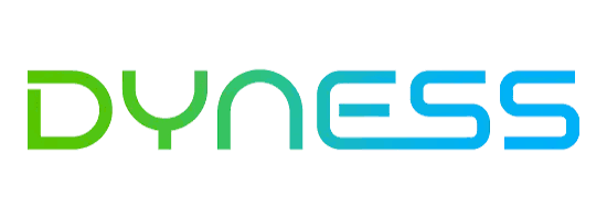 DYNESS